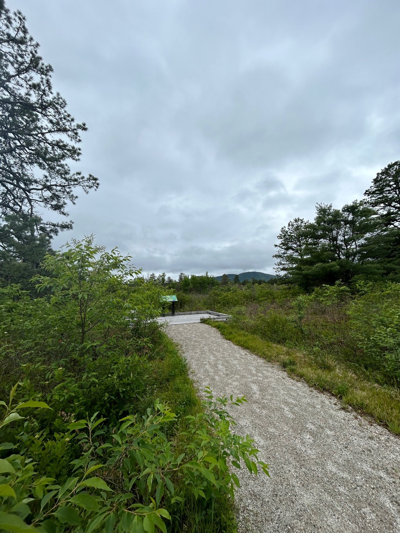 Landscape photograph