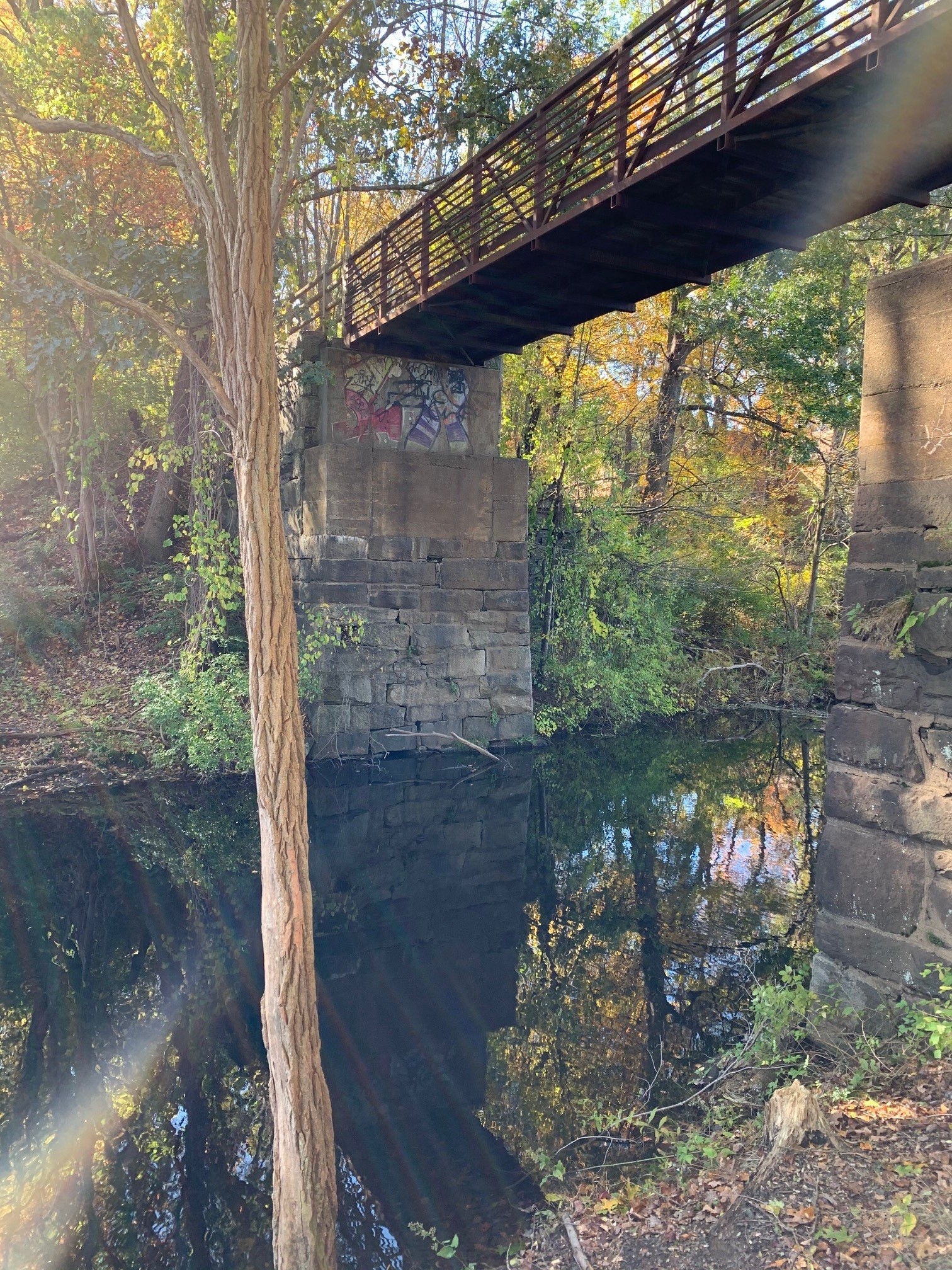 Bridge photograph