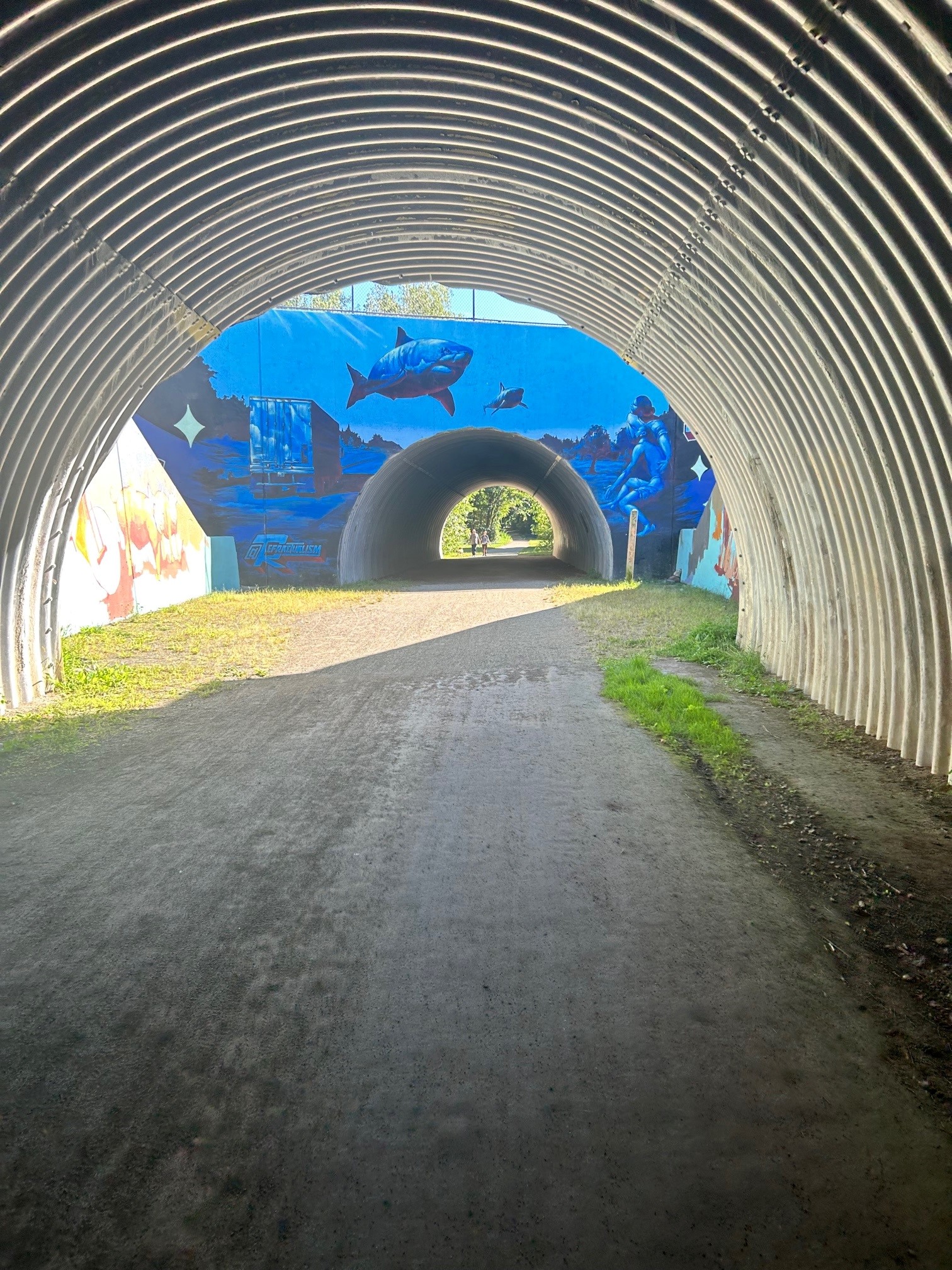 Secret tunnel photograph